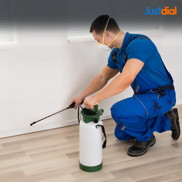 Top 100 Pest Control Services in Nungambakkam Best Residential Pest