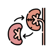 Highlights of Renal Transplant
